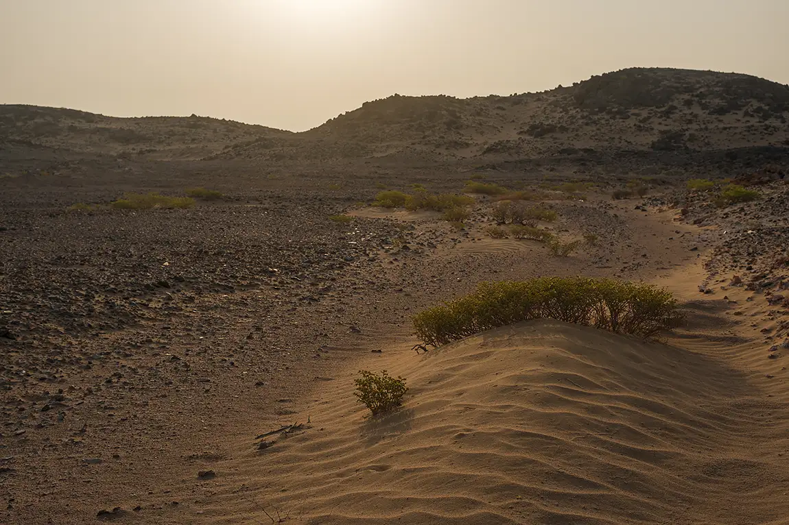 Sunrise Over Desolate Land, Qarn Alam Salt Dome, Oman
