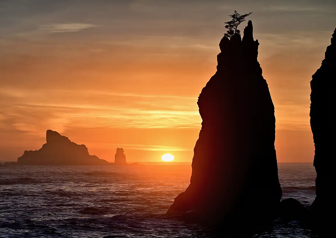 Sunset On The Dream Coast, Olympic National Park, Washington, USA