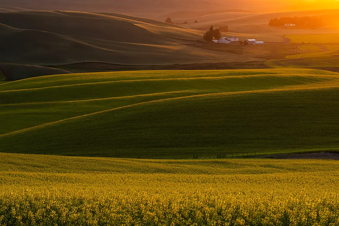 Sunset On The Palouse, Pullman, WA, USA