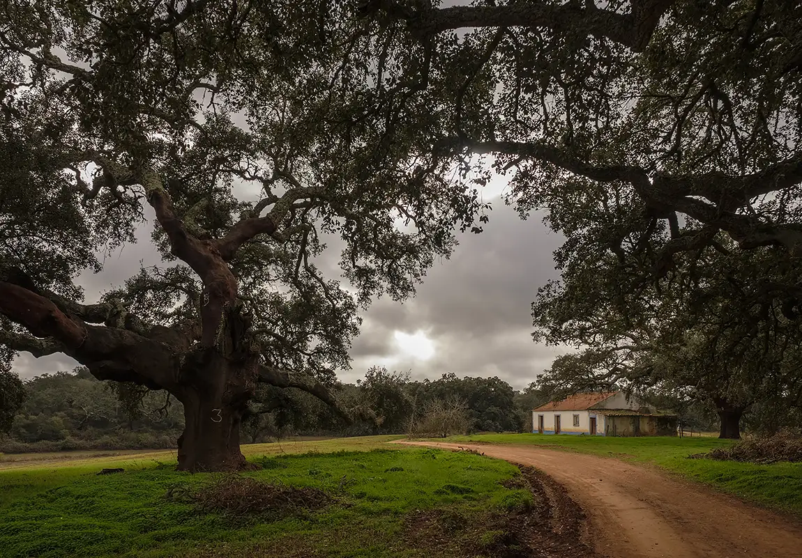 The Trail, Odemira, Alentejo, Portugal