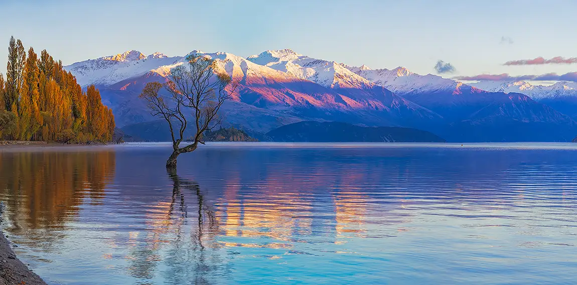 Wanaka Tree Autumn Sunrise, South Island, New Zealand