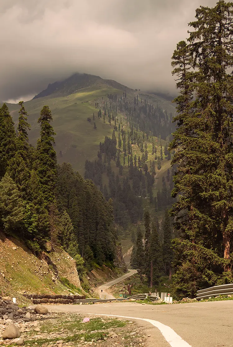 A Stretch Of Mughal Road, Shopian, JK, India