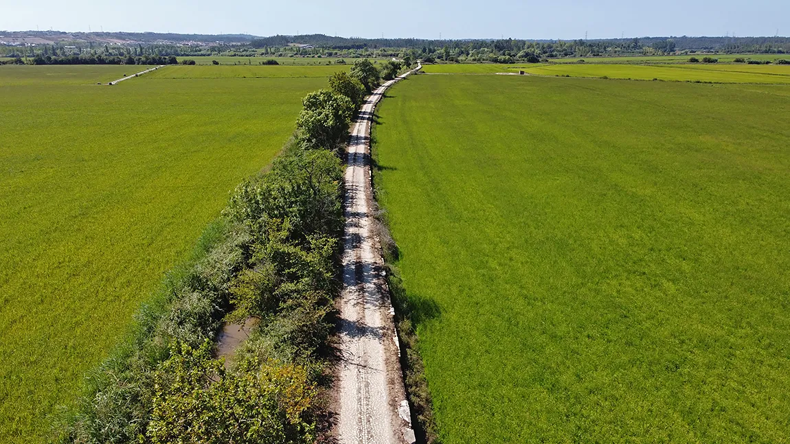 Above Rice Fields, Maiorca, Montemor o Velho, Coimbra, Portugal copy