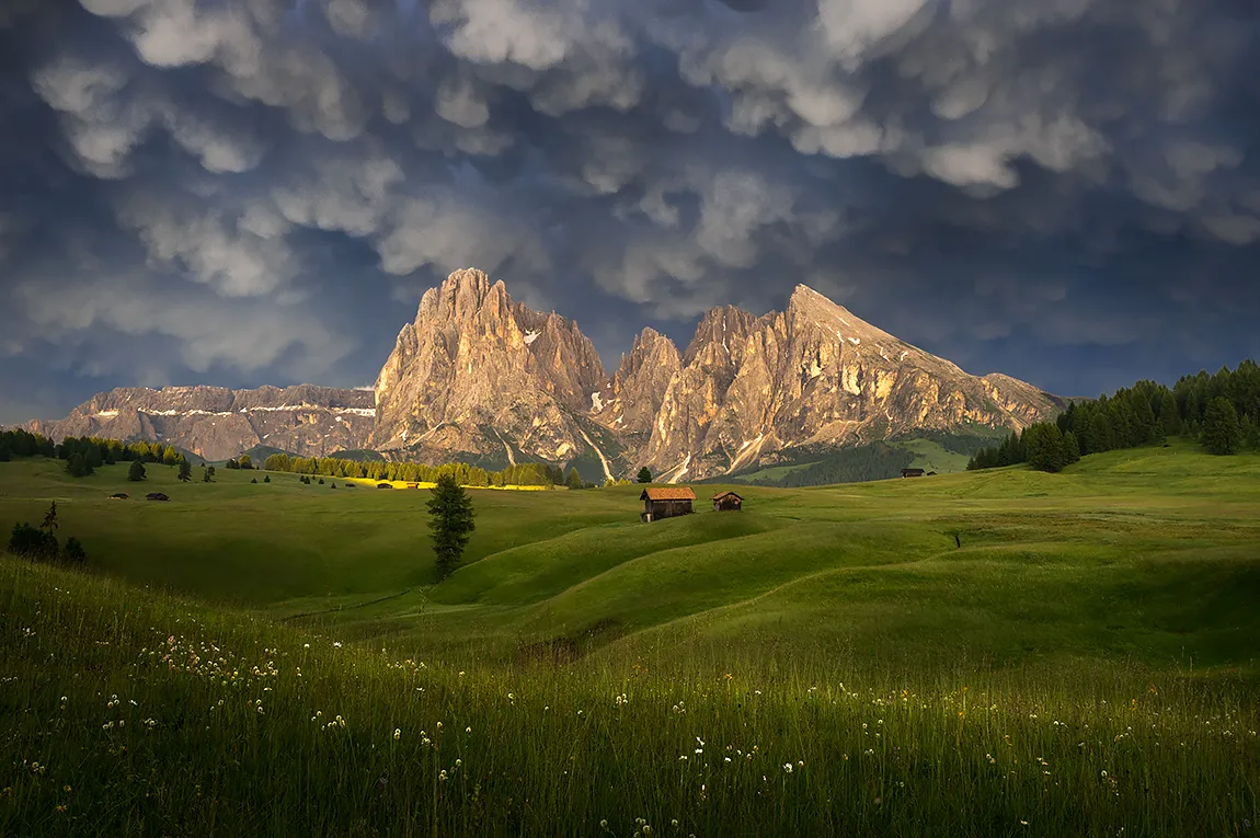 Alpe di Siusi, Compaccio, Trentino Alto Adige, Italy copy