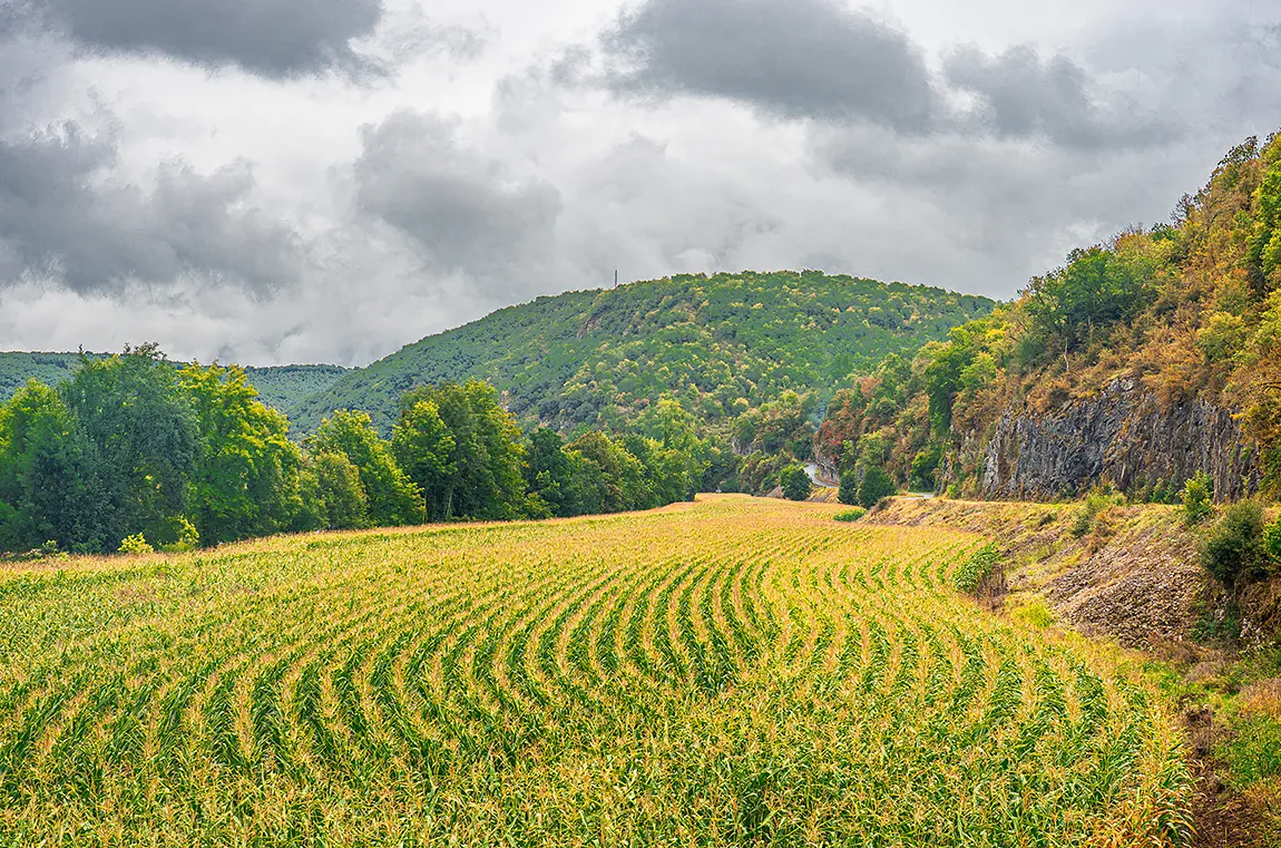 Amazing Field Lines, St Gery Midi Pyremees, France copy