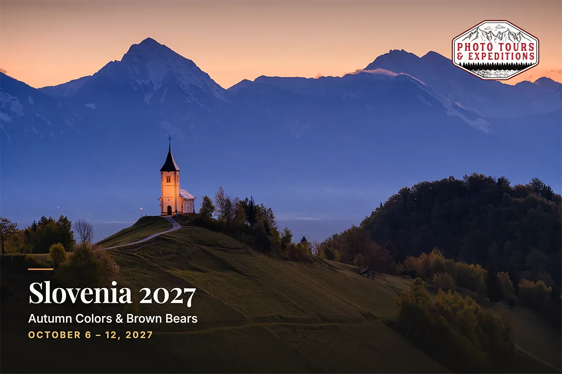 Autumn Colors And Brown Bears Photo Tour, Slovenia, October 2027 copy