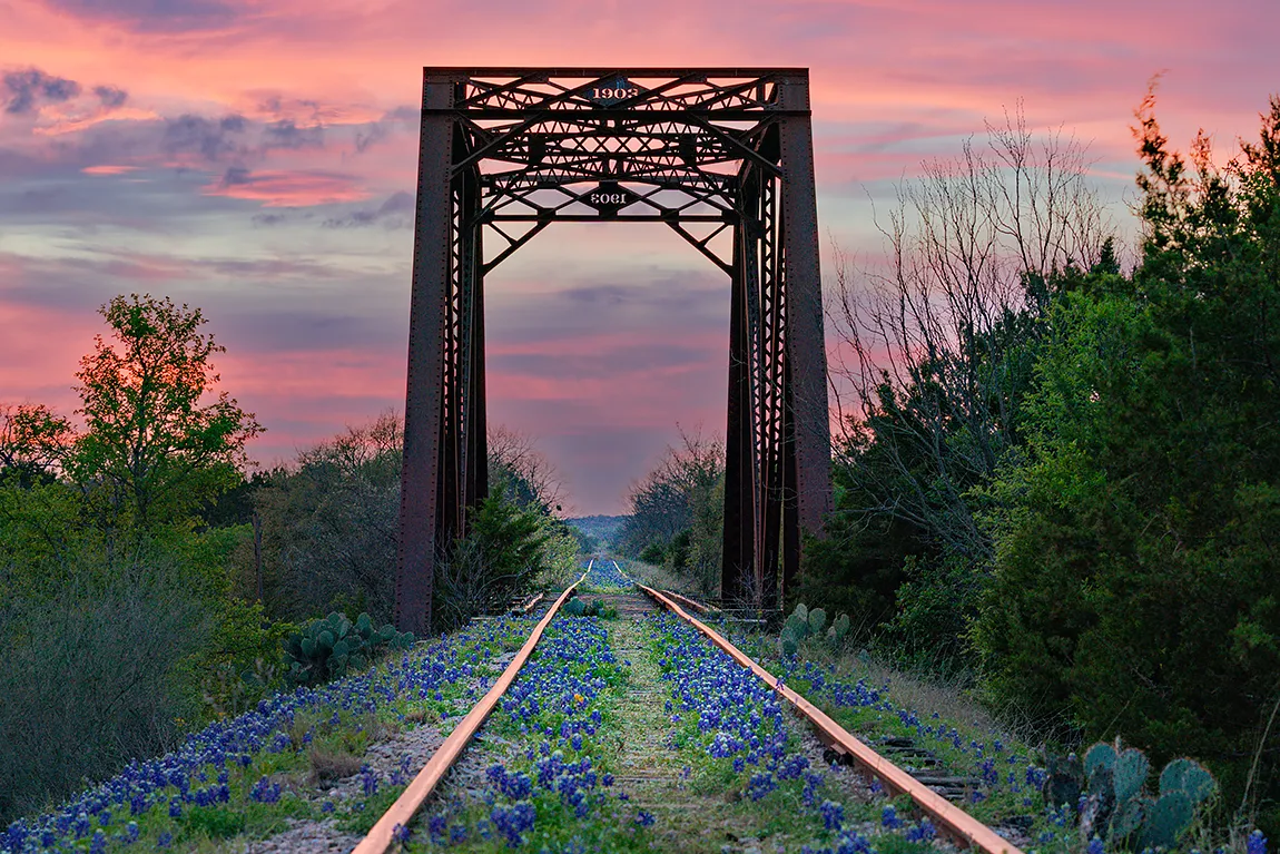 Bluebonnets Railroad Tracks, Near Marble Falls, Burnet County, Texas, USA copy