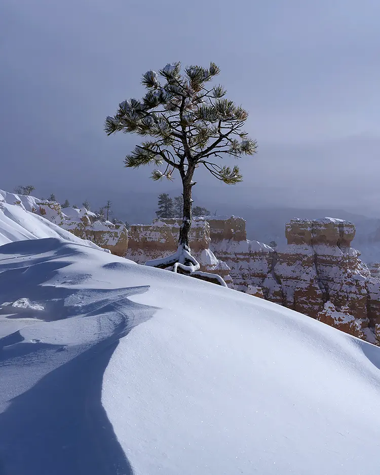 Cold Curve, Bryce Canyon National Park, Utah, USA