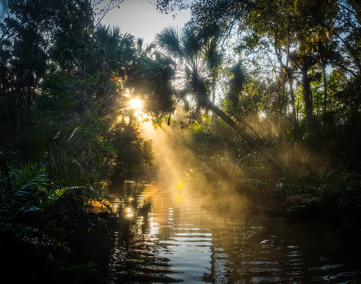Early Morning On Baird Creek, Chassahowitzka River, Florida, USA