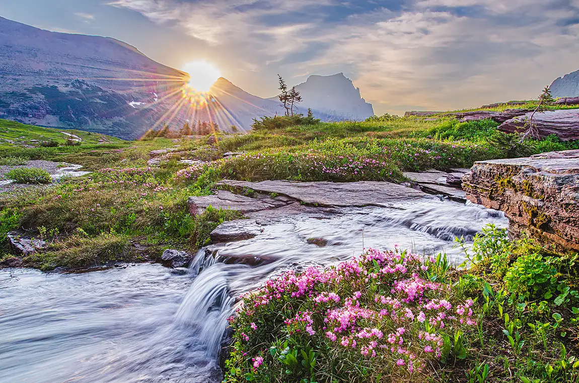 Golden Hour At Logan Pass, Glacier National Park, Montana, USA