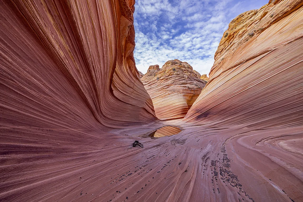 Straight And Wavy, The Wave, Marble Canyon, Arizona, USA copy