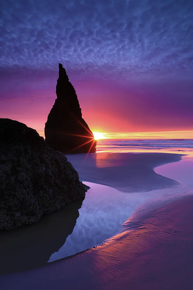 Sun Star And Wizards Hat, Face Rock Beach, Bandon, Oregon, USA