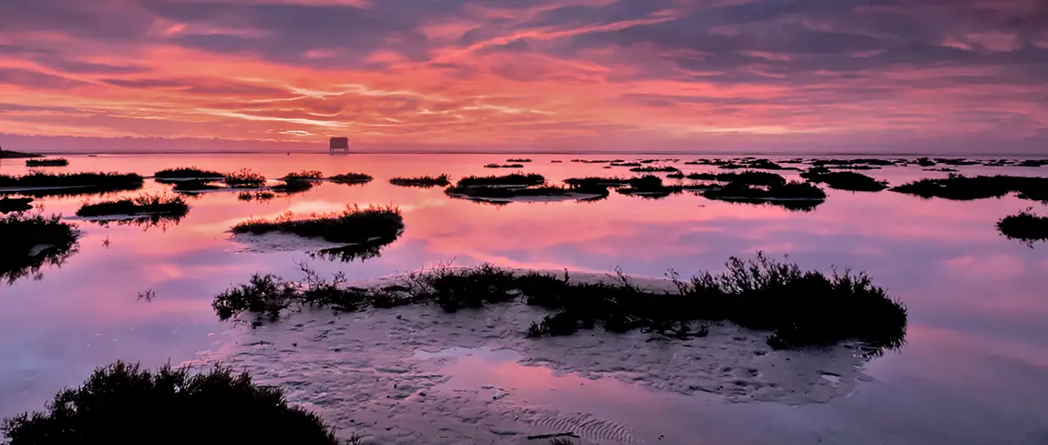 Sunrise Over Gruissan Wetlands, Occitanie, France