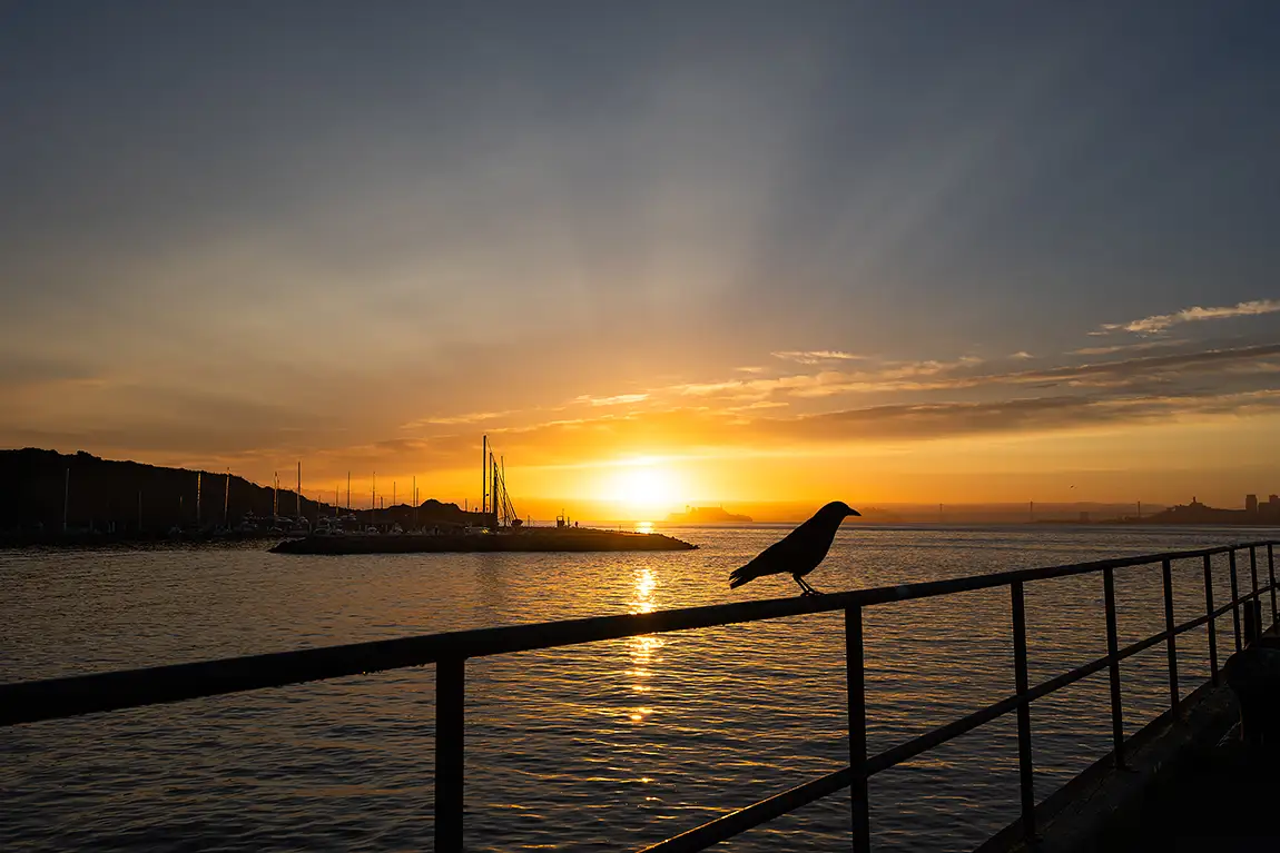 Sunrise Over San Francisco Bay, Marin Headlands, Sausalito, California, USA