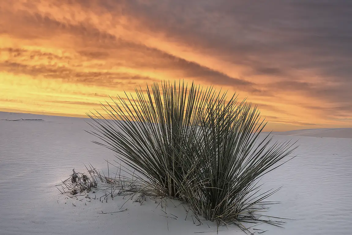 Sunset At White Sands National Park, New Mexico, USA