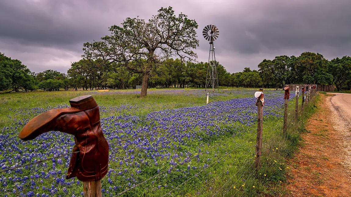 Willow City Loop, Fredericksburg, Gillespie County, Texas, USA copy