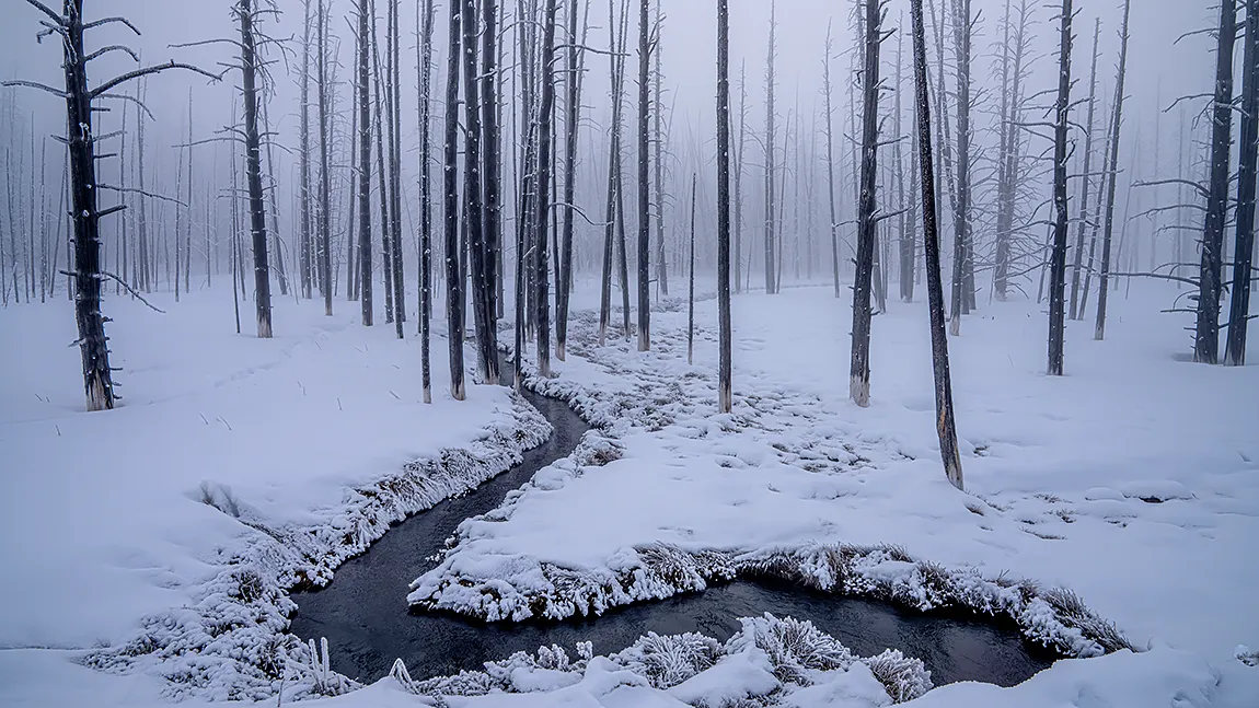 Yellowstone Stream In Winter, Wyoming, USA copy
