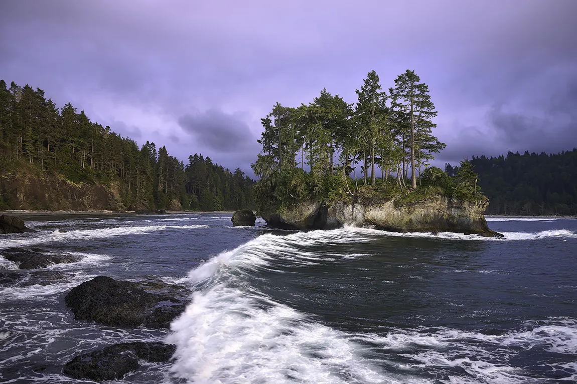 Against The Tide, Salt Creek Recreational Area, Olympic Peninsula, Washington, USA copy