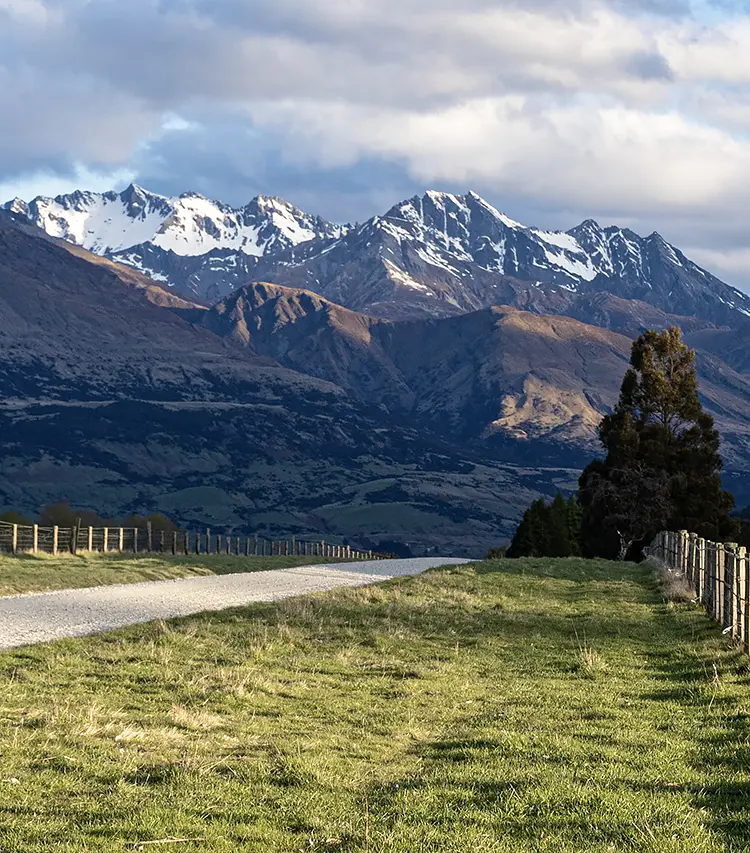 Fencing, Paradise, New Zealand