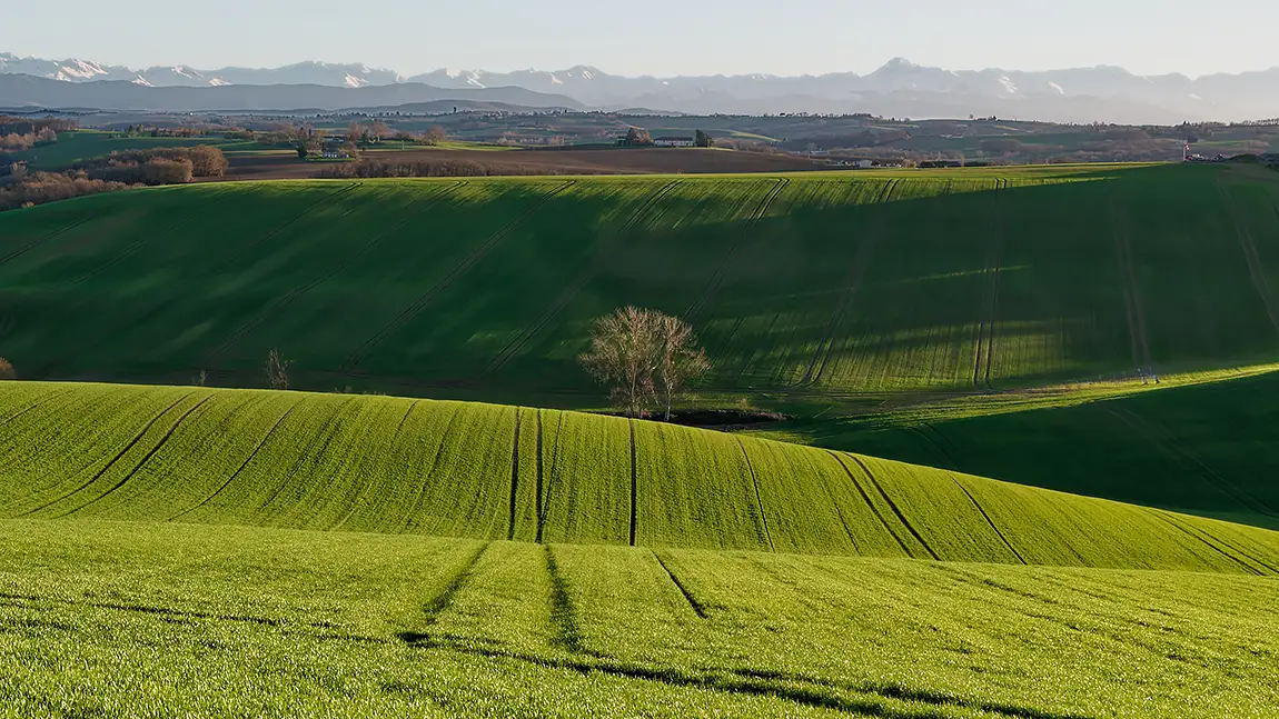 Following The Furrows, Montesqieu Volvestre, Occitanie, France