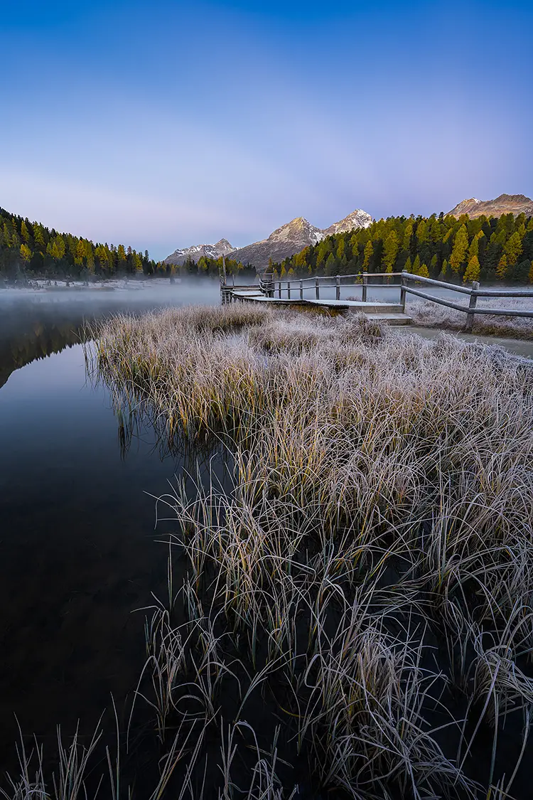 In Delight, Starzer See, Engadin, Switzerland