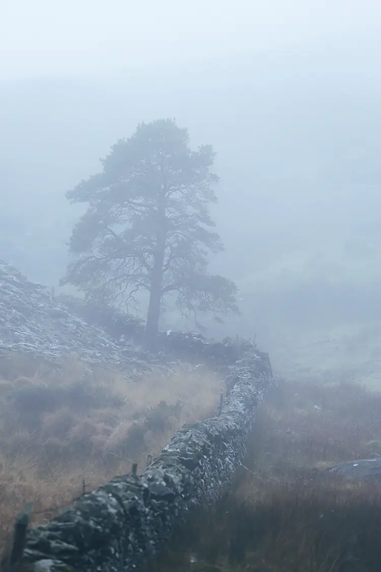 Misty Welsh Slate Wall, Rhyd Ddu, Gwynedd, Wales