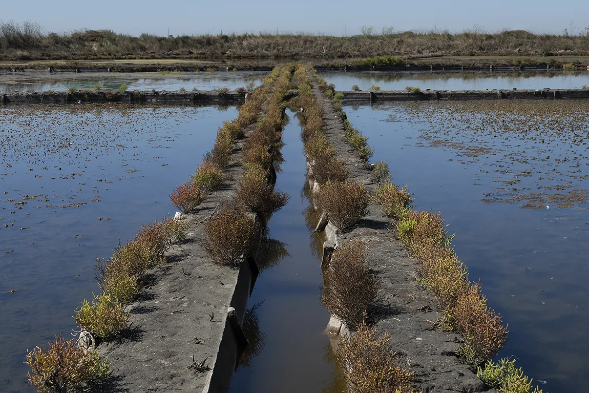 Old Salt Evaporation Ponds, Aveiro, Portugal