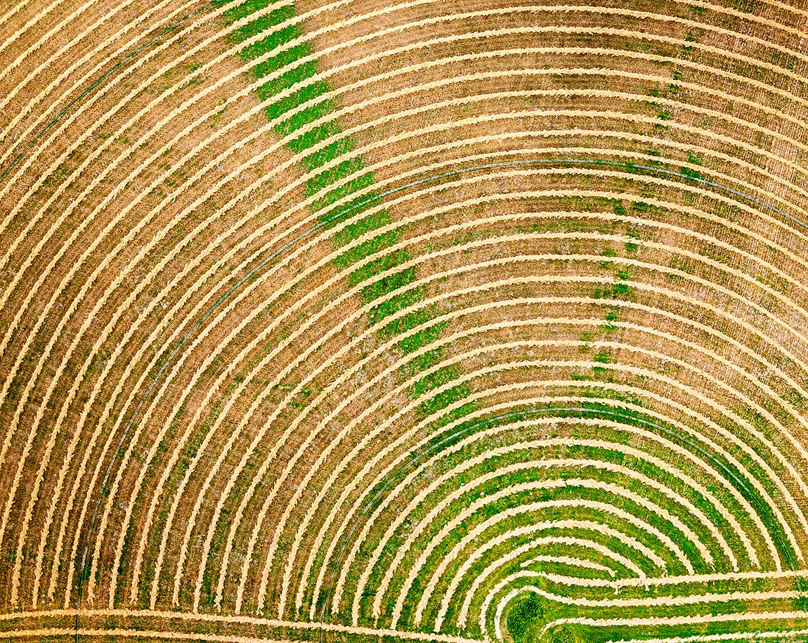 Rhythms Of The Cascades Harvest, Winthrop, WA, USA copy