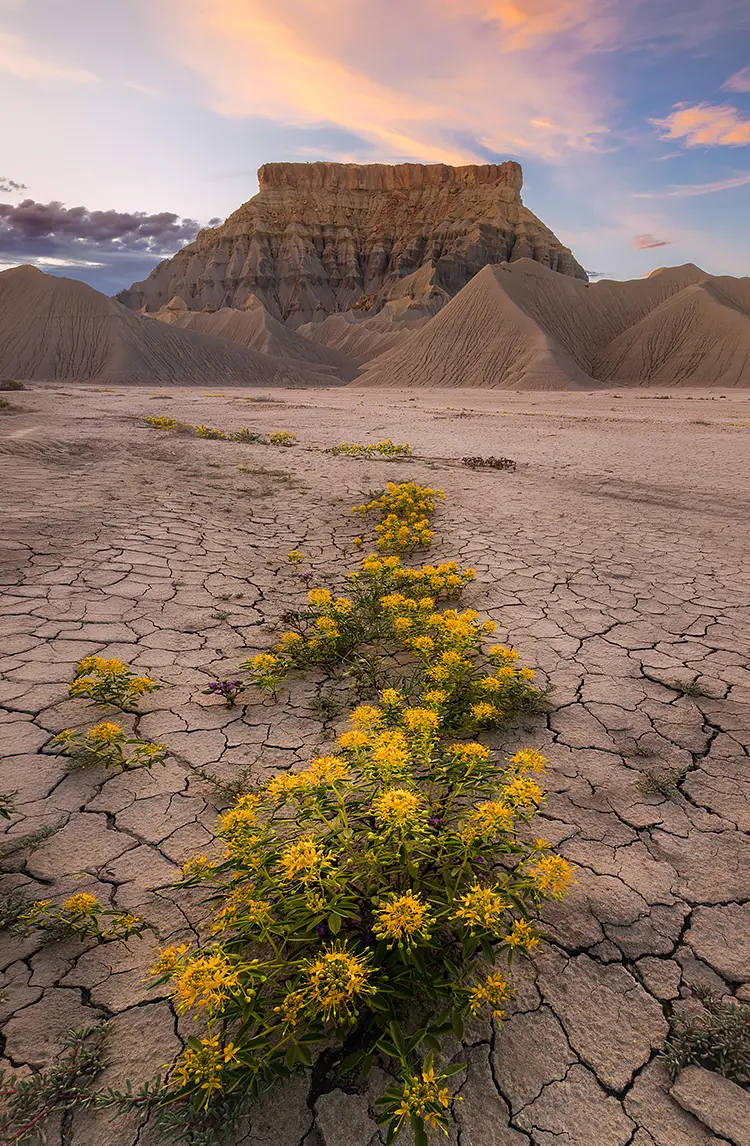 Sunset In Hanksville, Utah, USA
