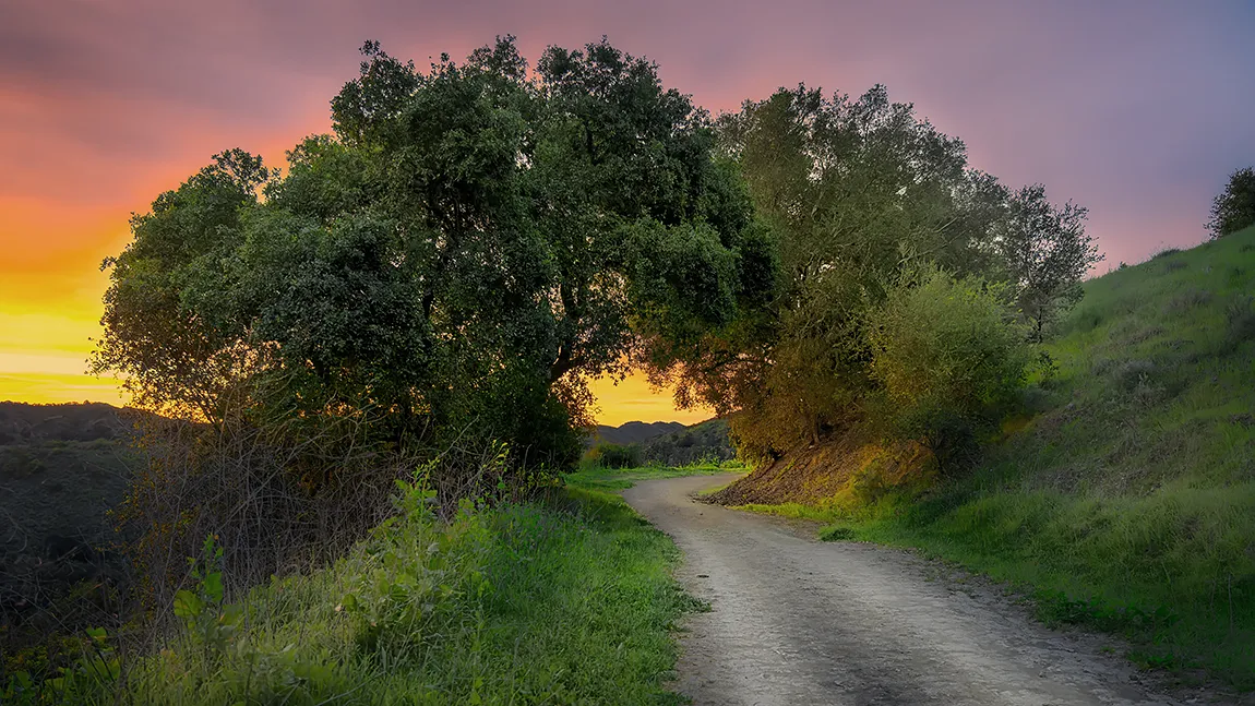 The Road Home, Ojai, California, USA copy