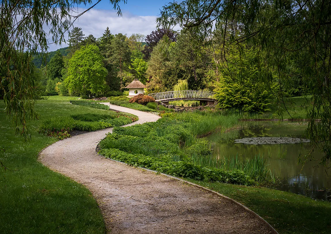 Winding Path At Kurpark Gardens, Bad Pyrmont, Lower Saxony, Germany