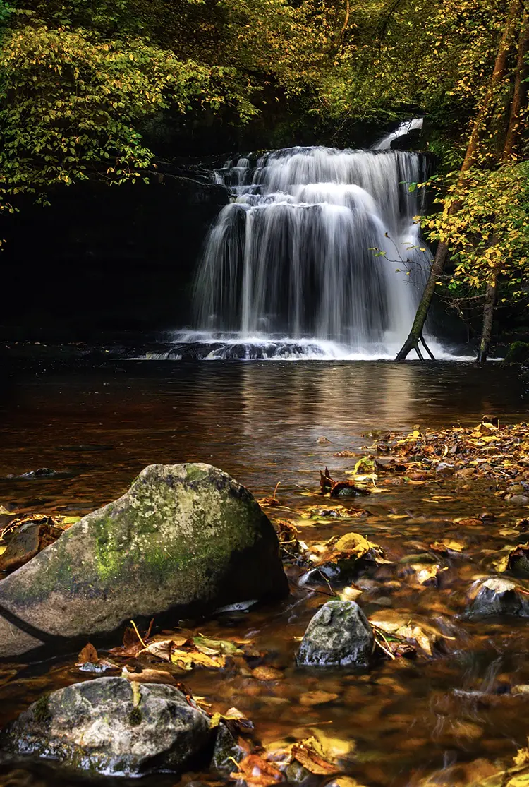 Autumn At Cauldron Falls, West Burton, Wensleydale, Yorkshire, England