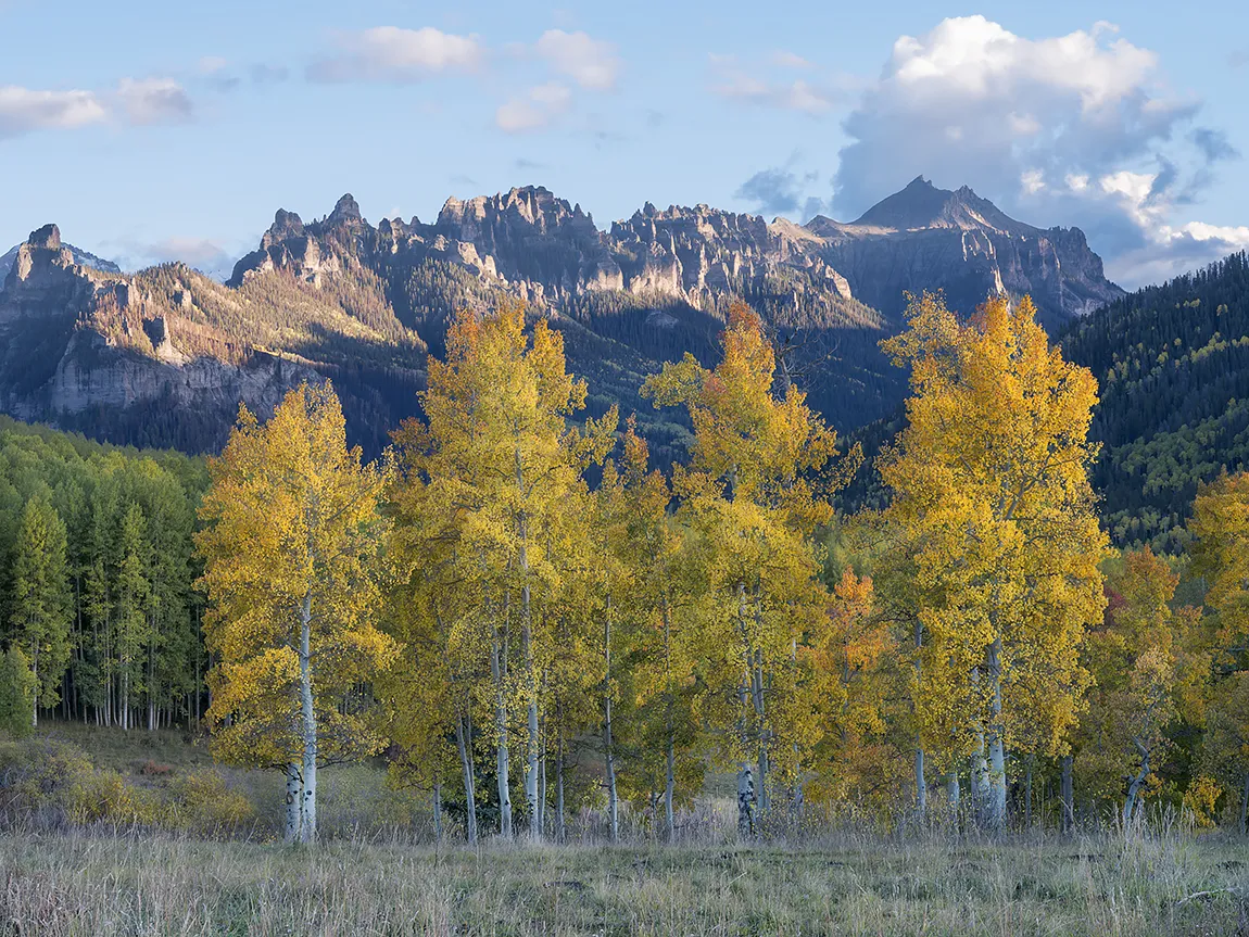 Autumn Last Light, San Juan Mountains, Colorado, USA