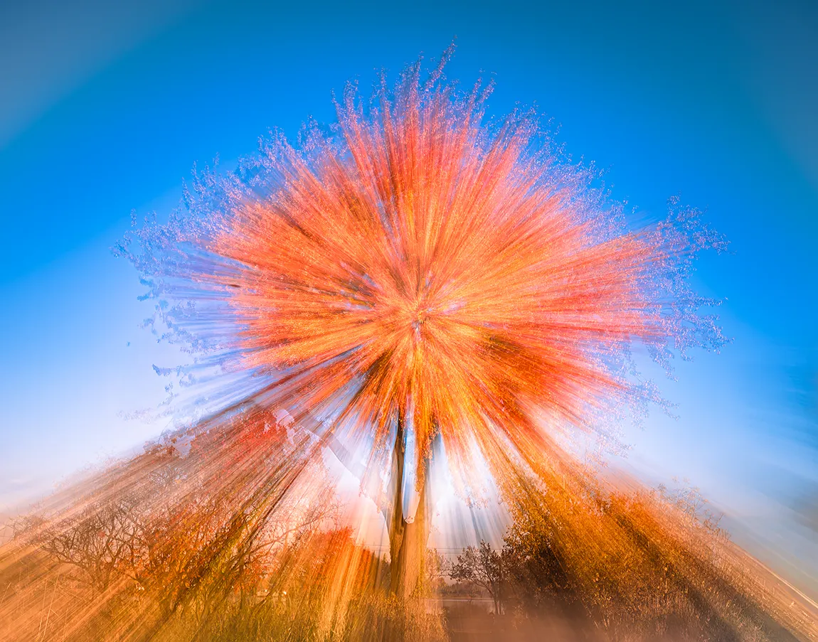 Autumnal Explosive Beauty, Riviere Des Prairies, Montreal, Quebec, Canada