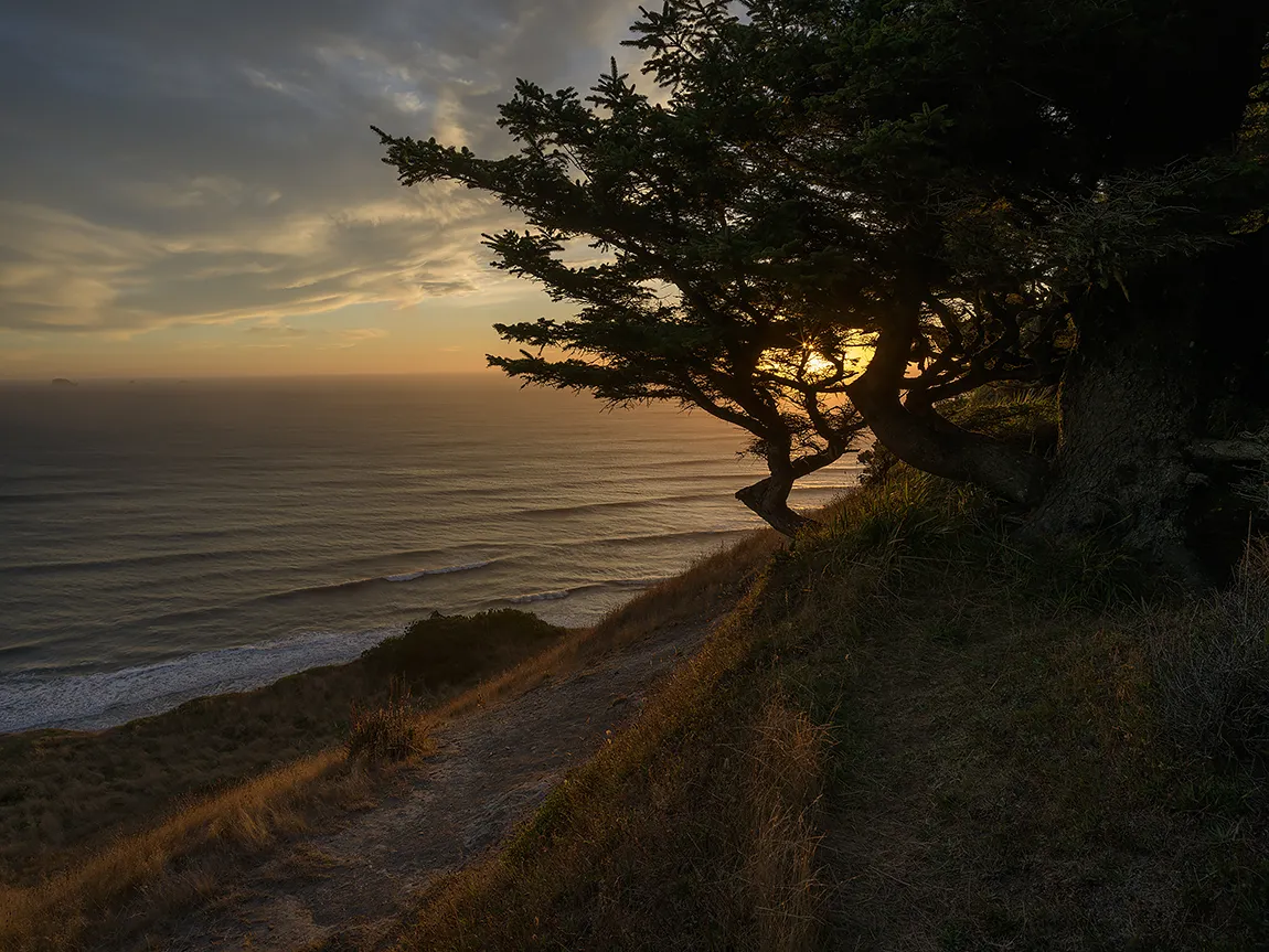 Cape Blanco Sunset, Oregon Coast, USA