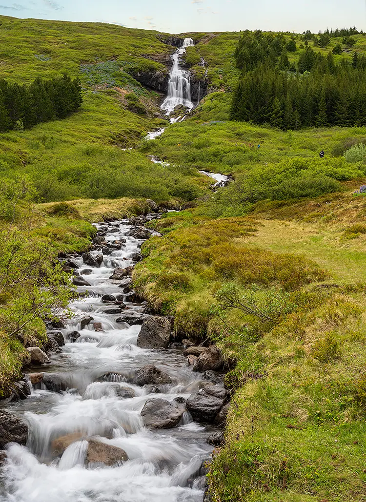 Cascading Stream Through Tungudalur Valley, Isafjordur, Iceland