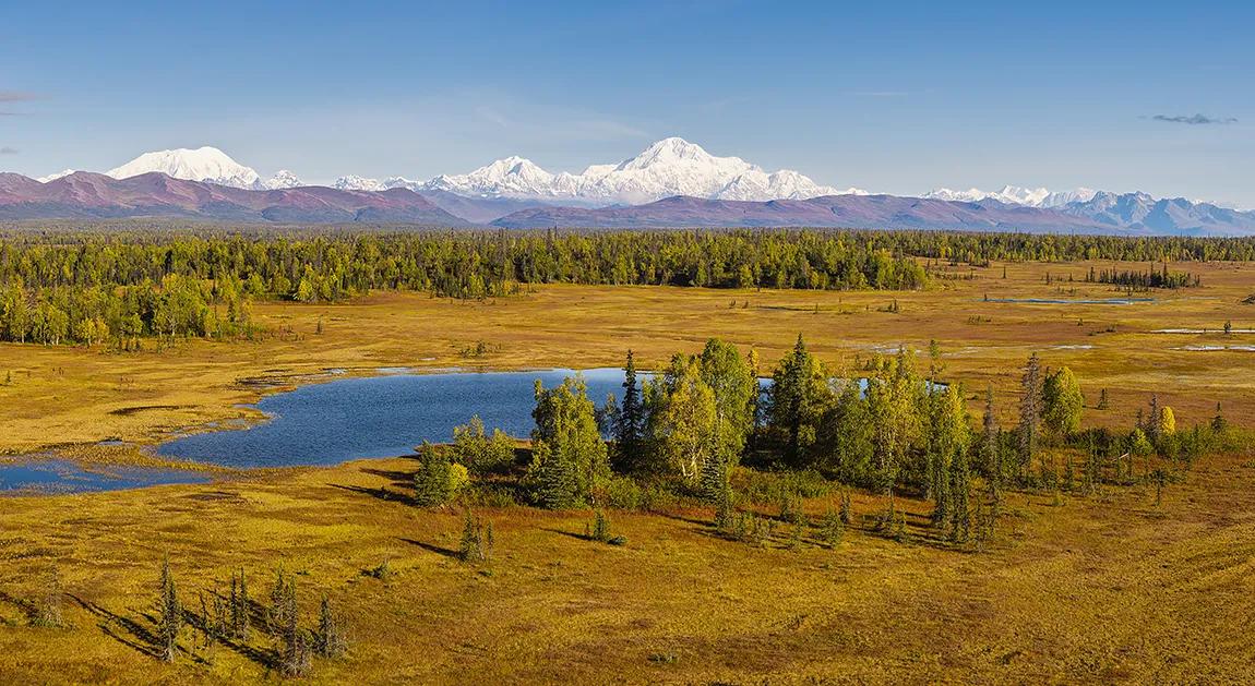 Denali Autumn, Petersville, Alaska, USA