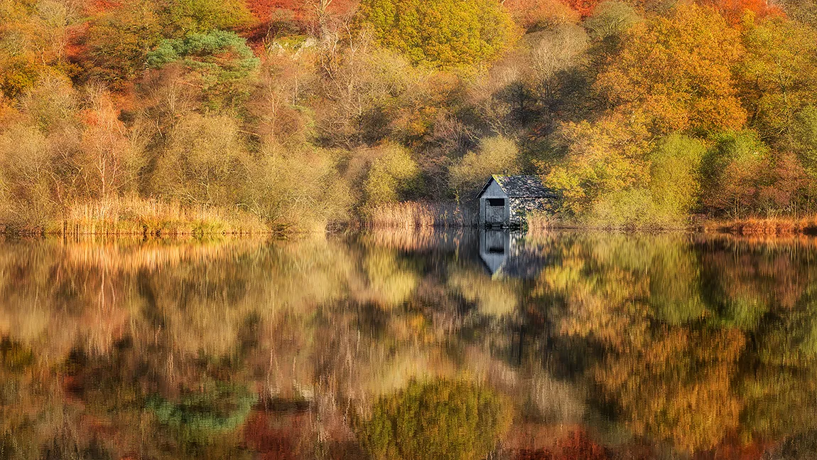Golden Autumn, Rydal Water, Lake District, Cumbria, England