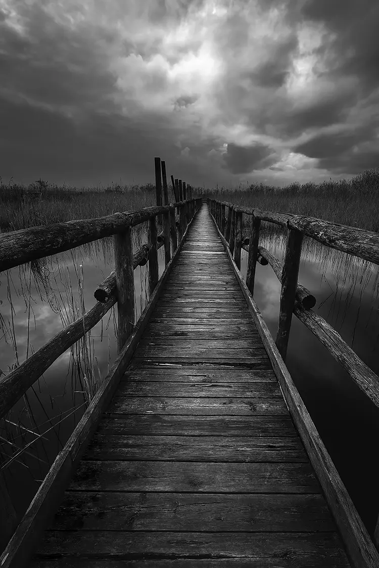 Into The Unknown, Lake Massaciuccoli, Massarosa, Tuscany, Italy