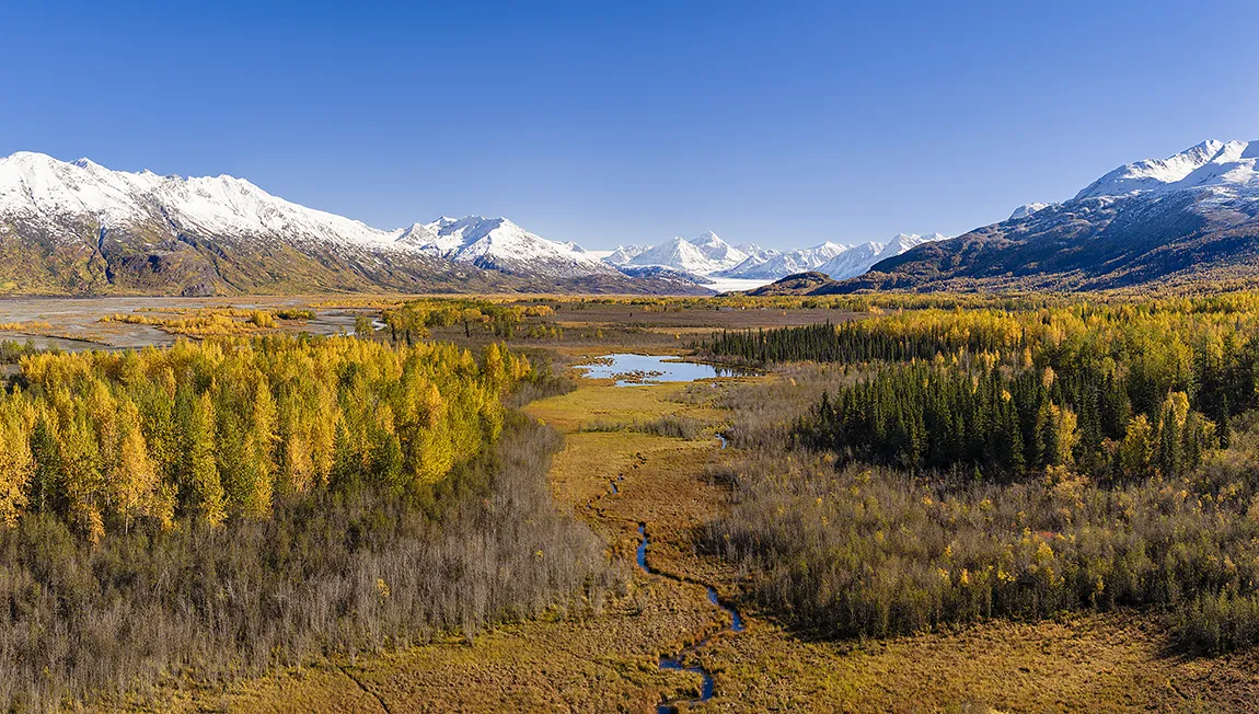 Knik Valley Fall, Butte, Alaska, USA