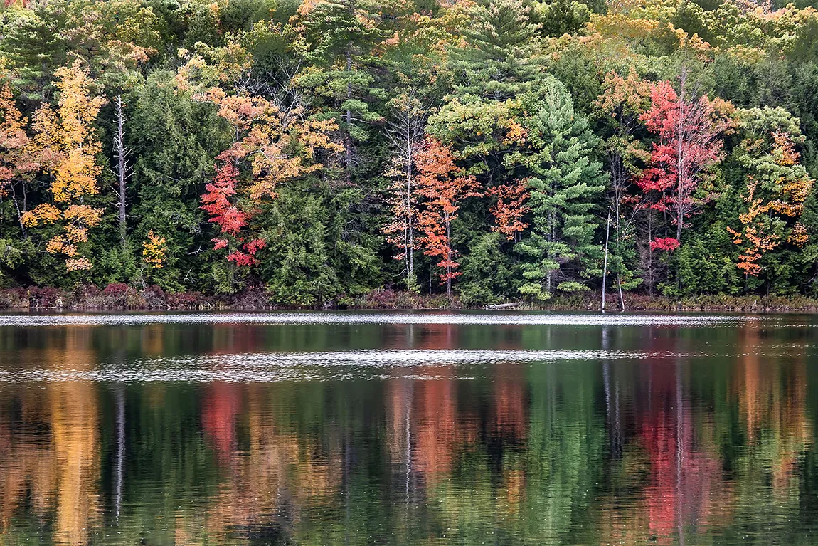 Lake Bonita Reflection, Corinth, NY, USA
