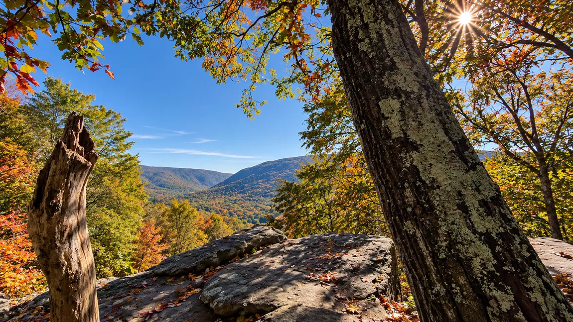 Ohiopyle State Park, Baughman Rock Overlook, Pennsylvania, USA