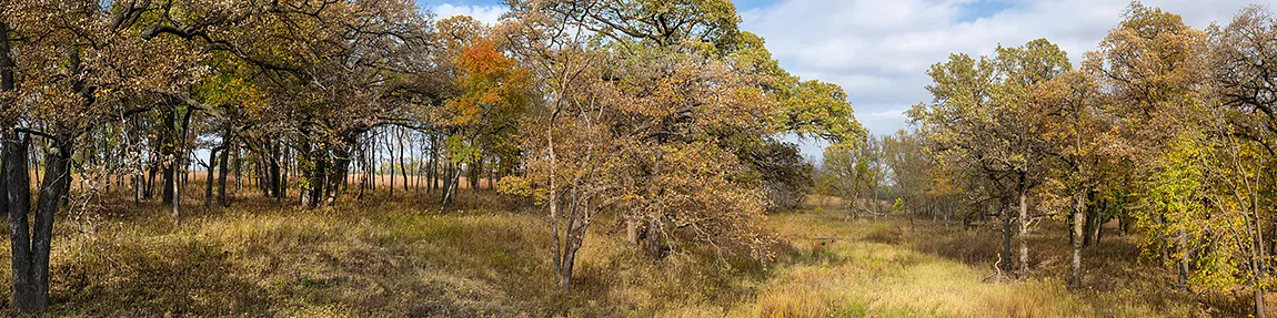 Panoramic Fall Scene in Joliet, Illinois, USA