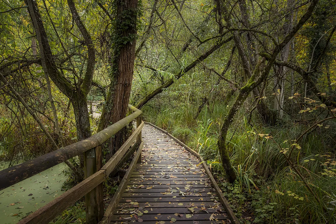 ProNatura Nature Reserve, Yvonnand, Switzerland