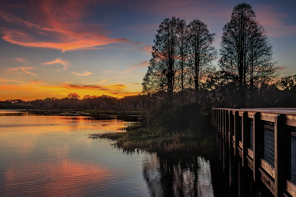 Serenity, Edouard Medard Conservation Park, Florida, USA