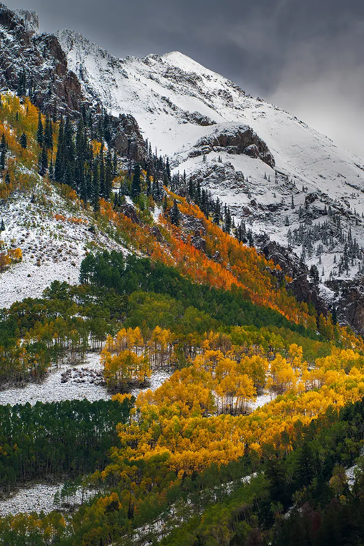 Telluride Autumn Snowstorm, San Miguel County, Colorado, USA