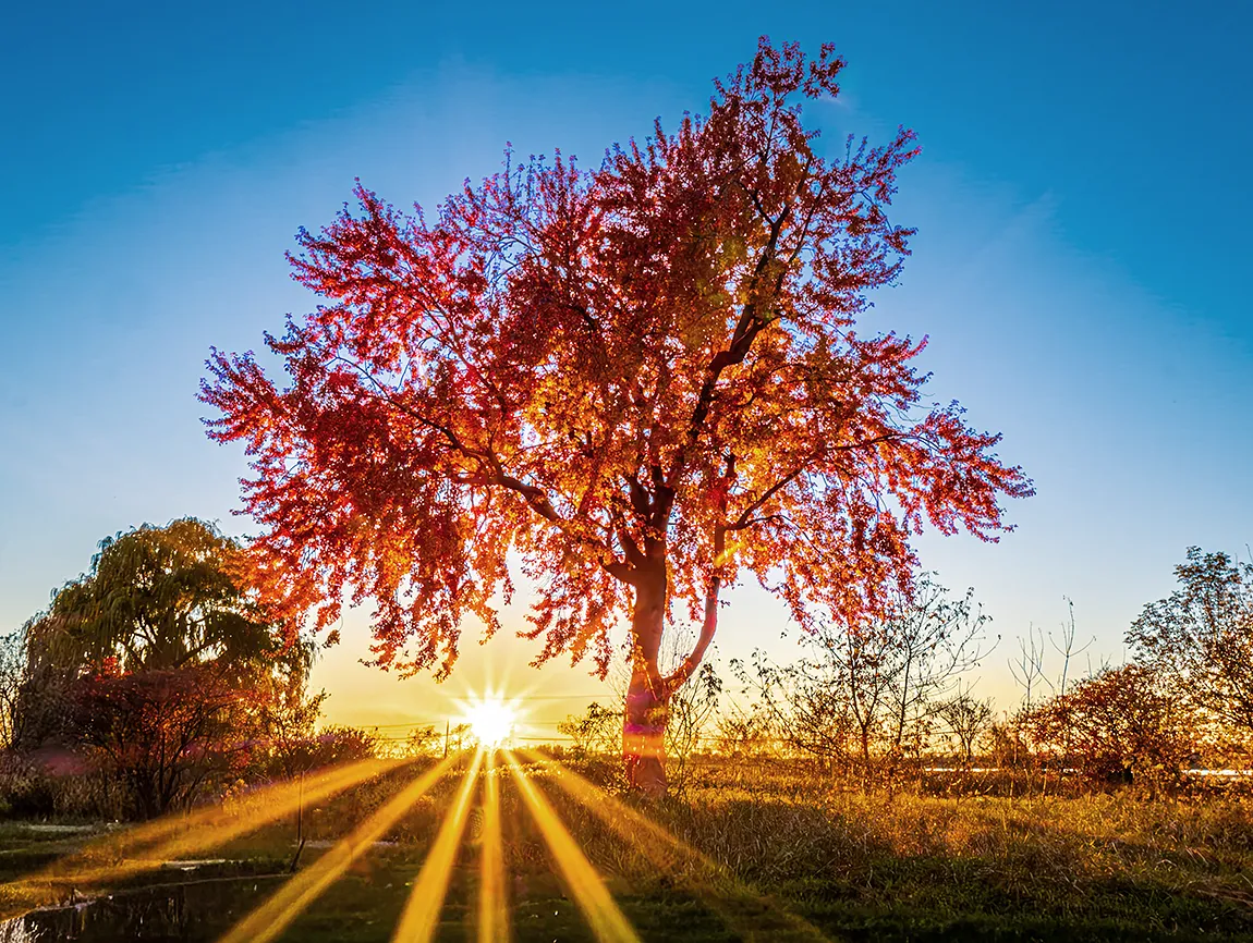 The Autumn Star, Riviere des Prairies, Montreal, Quebec, Canada