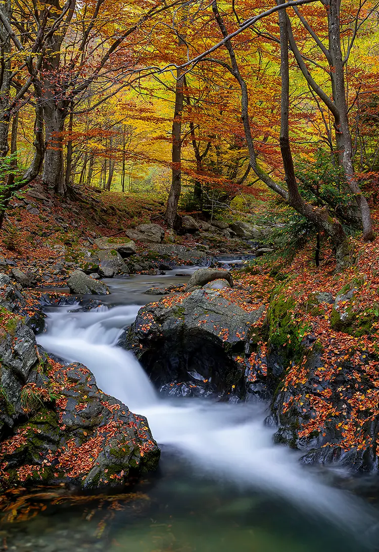 The Old River Reserve, Karlovo, Bulgaria