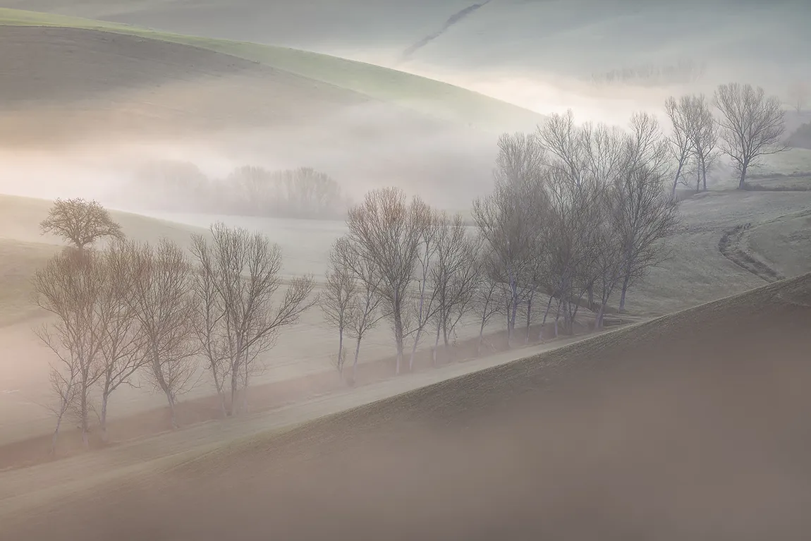 Veils Of Mist, Orciano Pisano, Pisa, Tuscany, Italy