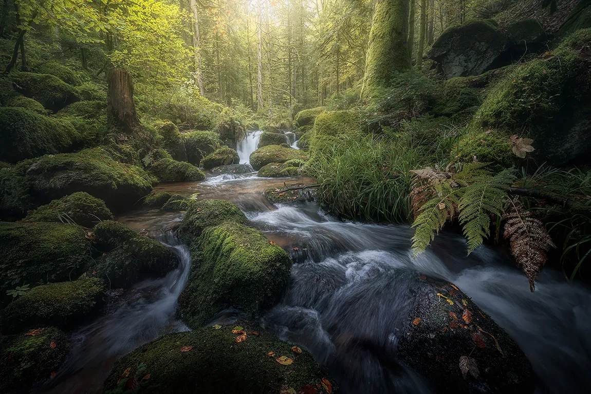 Vivid Gorge, Gertelbach, Buhl, Blackforest, Germany